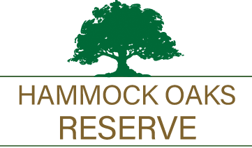 Maronda,Hammock Oaks Reserve,Homes,Builder,Models,floor Plans,new construction,Hammock Oaks Reserve County,Florida
